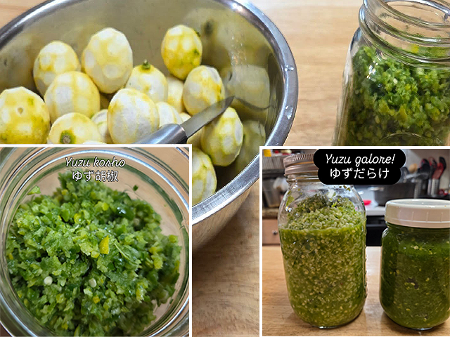 Yuzu Galore! Image / 柚子だらけ 画像